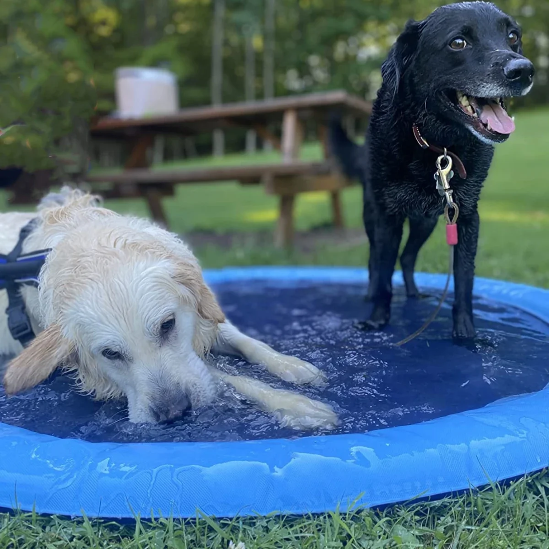 Pup Vault - Summer Sprinkler Pad