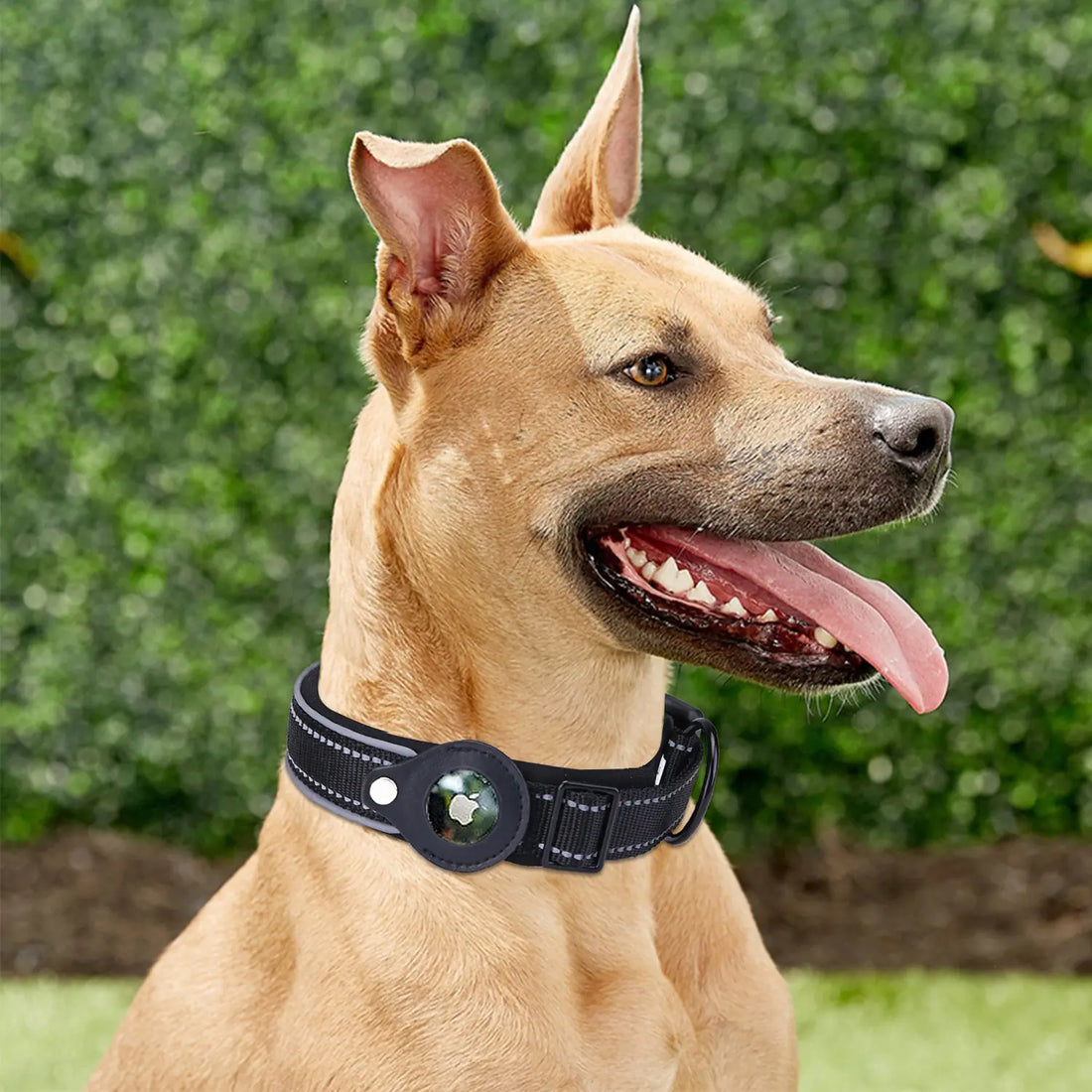 Pup Vault - Airtag Pup Collar